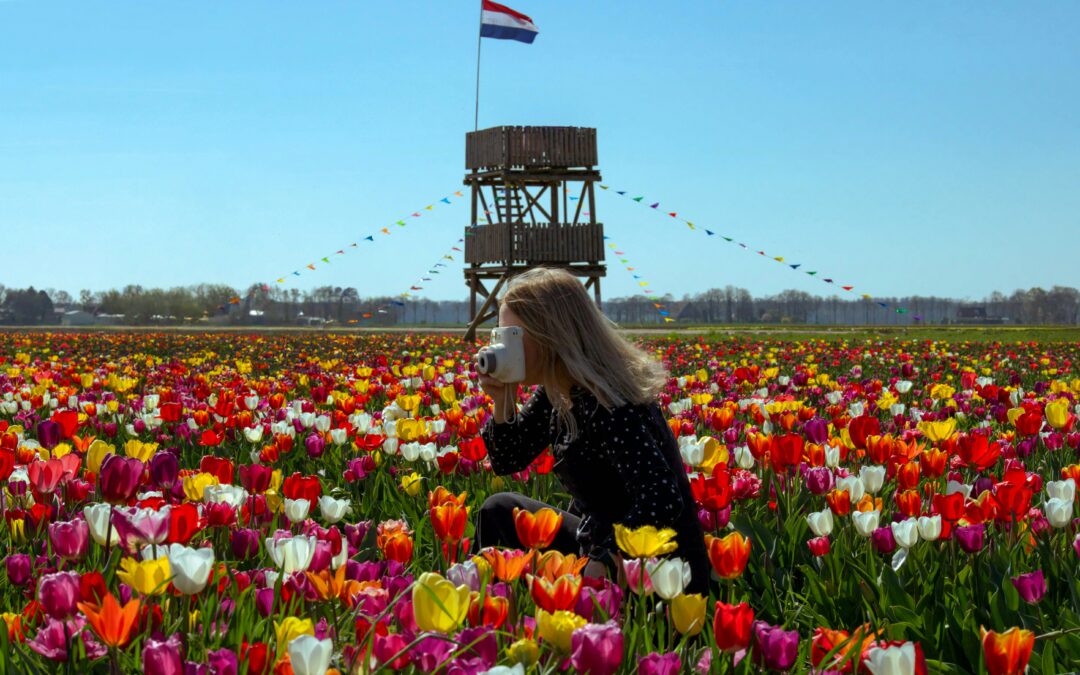 De comeback van de Nederlander
